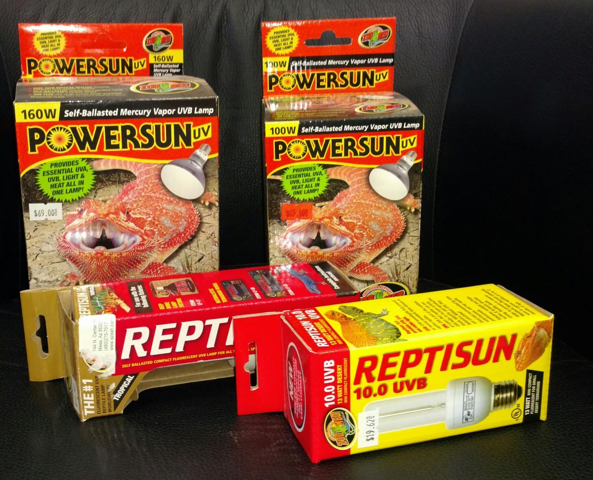 Ultraviolet Lighting for Reptiles | Arizona Exotics | Reptiles